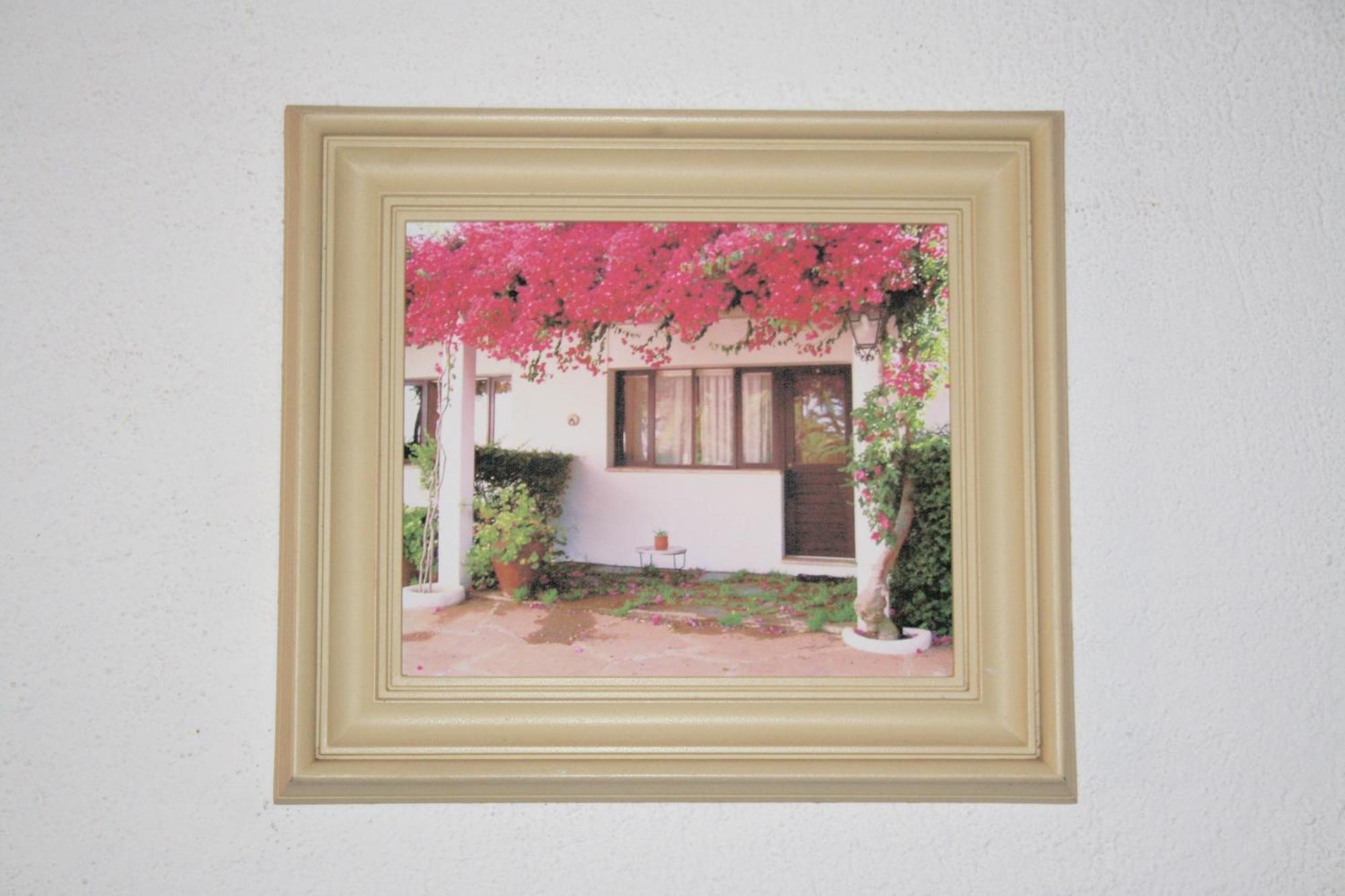 Quinta Da Ameijeira Lagos Oda fotoğraf