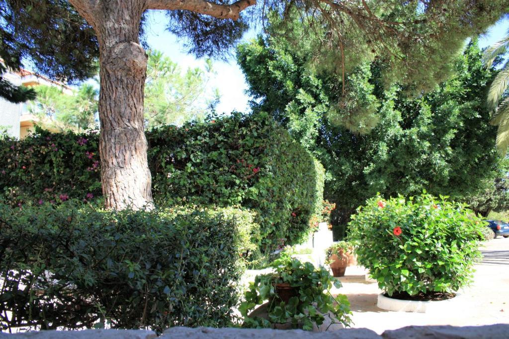 Quinta Da Ameijeira Lagos Dış mekan fotoğraf